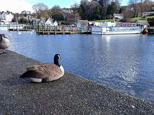 Holmlea Guest House Exclusively For Adults Windermere Luaran gambar